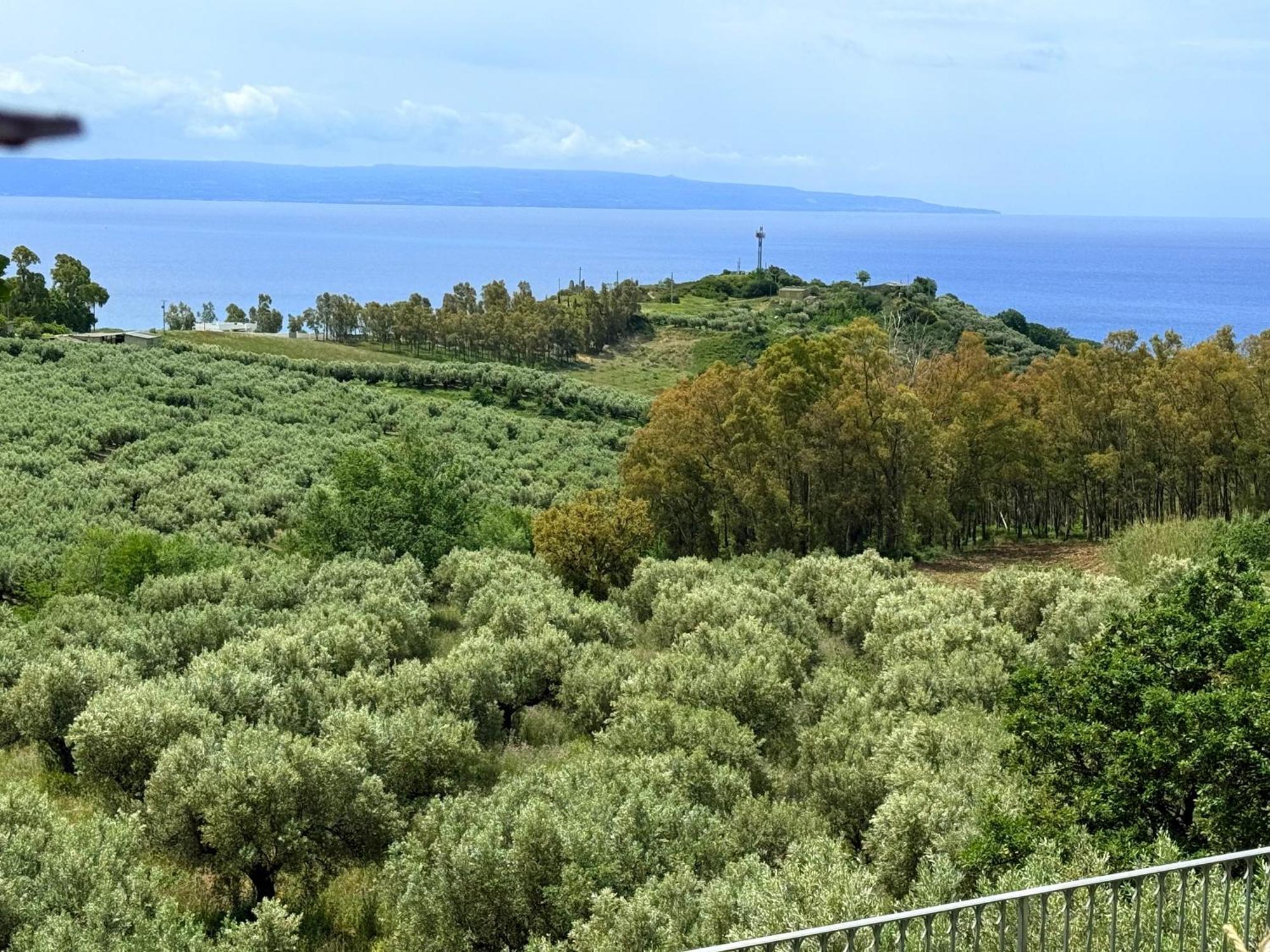 Casale Calabria Bed & Breakfast Джицерия Екстериор снимка